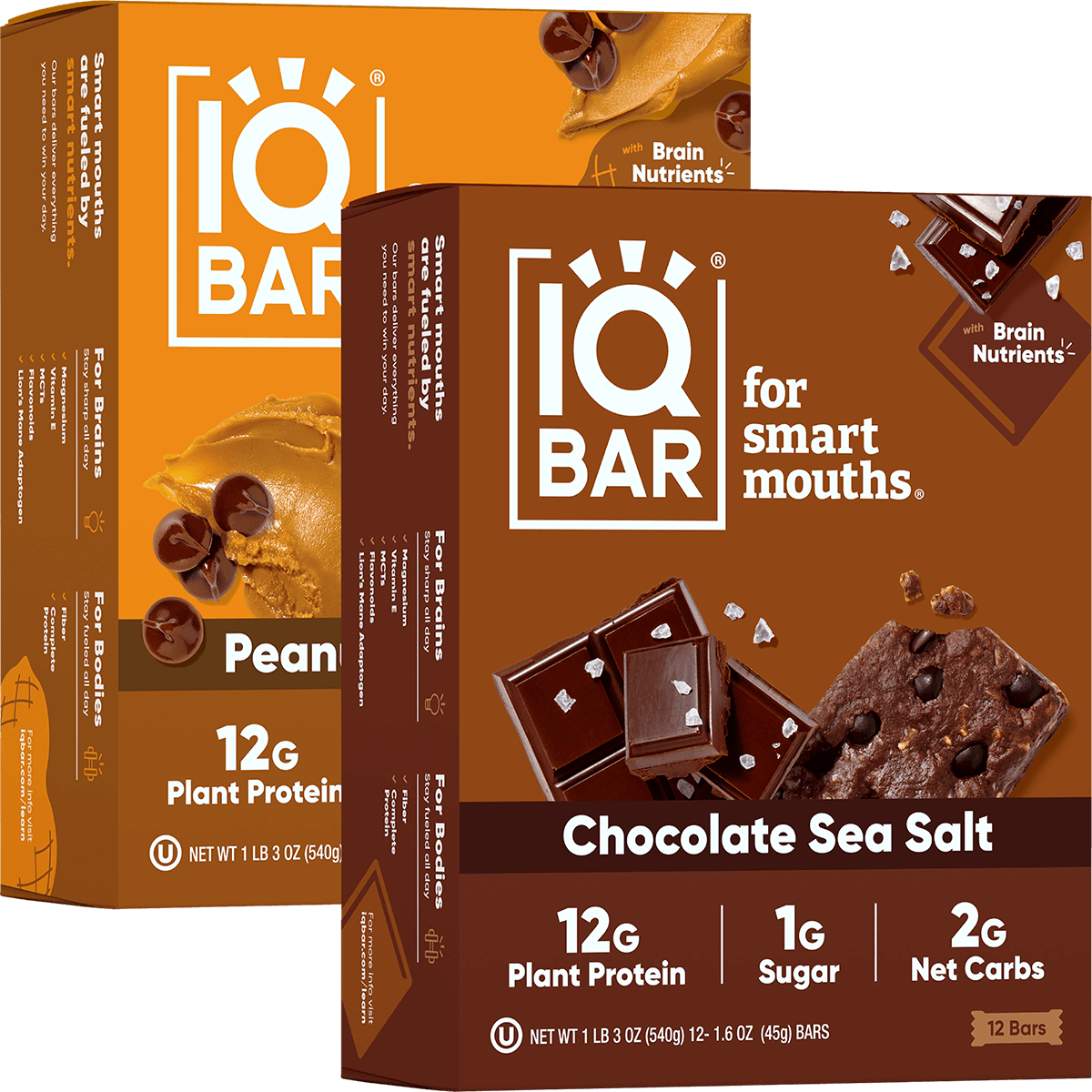 Chocolate Sea Salt & Peanut Butter Chip (24 Bars)